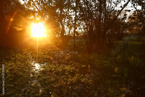 The sun is setting and dawn is breaking. Water flows through the grass. The sun shines through the trees
