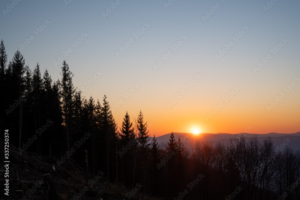 sunrise in the mountains with trees in the foreground sunrise in the mountains with trees in the foreground