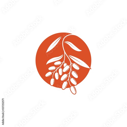 date fruit vector illustration design