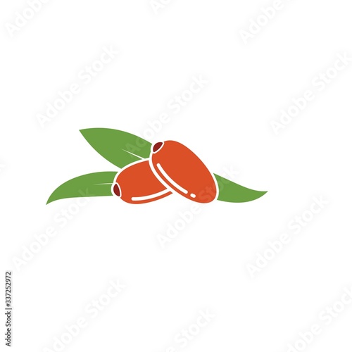 date fruit vector illustration design