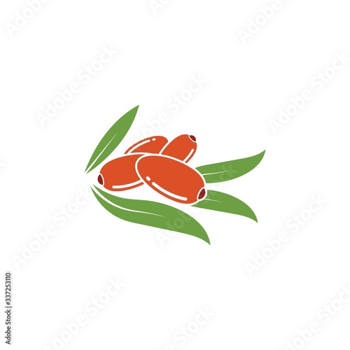 date fruit vector illustration design
