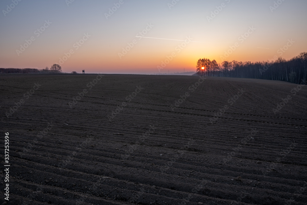 Fototapeta premium beautiful field at sunrise with forest in background