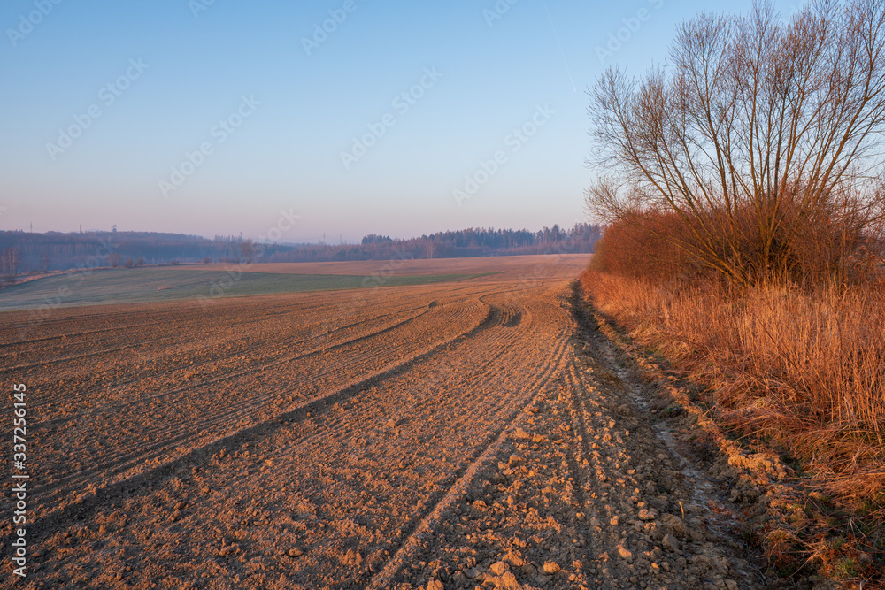 Field at sunrise with a little fog and beautiful colors in spring Field at sunrise with a little fog and beautiful colors in spring