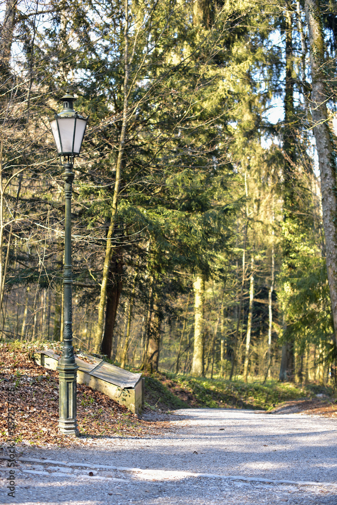 Walking road in the park in sunny day Walking road in the park in sunny day