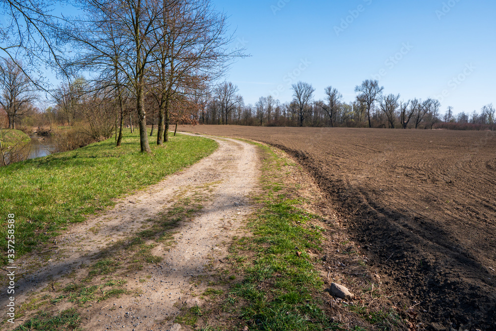 dirt road near field with river and trees around in spring, Czech Olza dirt road near field with river and trees around in spring, Czech Olza