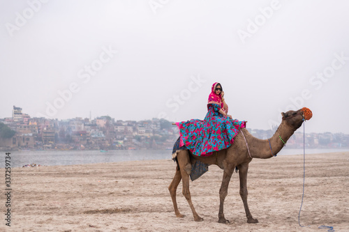 Beautiful south east asian girl in traditional Indian sari/saree on camel at Varanasi, India.