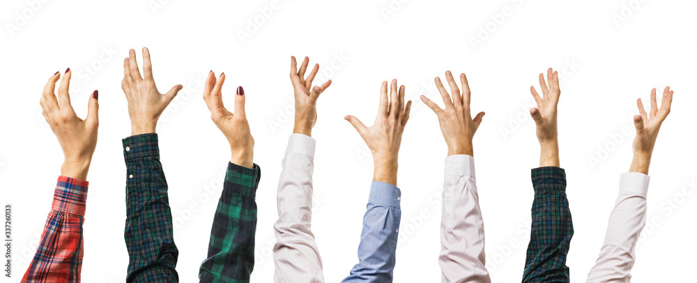 Fototapeta premium Many different hands raised up isolated on a white background