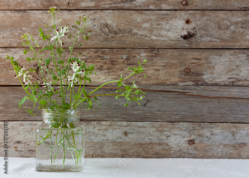 Meadow natural wildflowers bouquet in glass jars on wooden rustic background. Space for text. Herbal medicine and phytoterapy concept. Country style life concept.