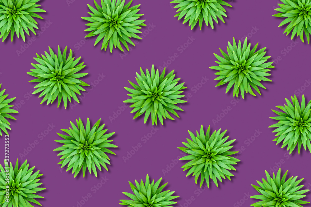 Natural background of chaotic lily leaves on a bright purple base. Image with a contrasting color scheme.