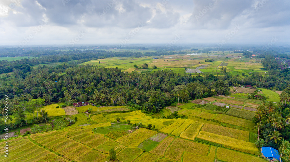 Beautiful landscape with balinese village and rice fields, Bali, Indonesia. Sunset. Aerial view.