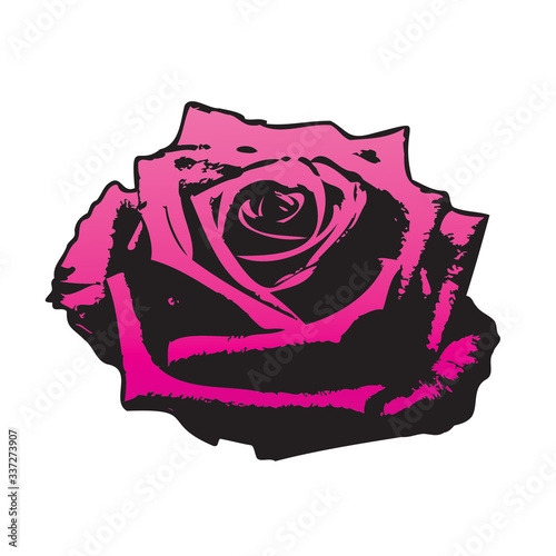lila rose silhouette