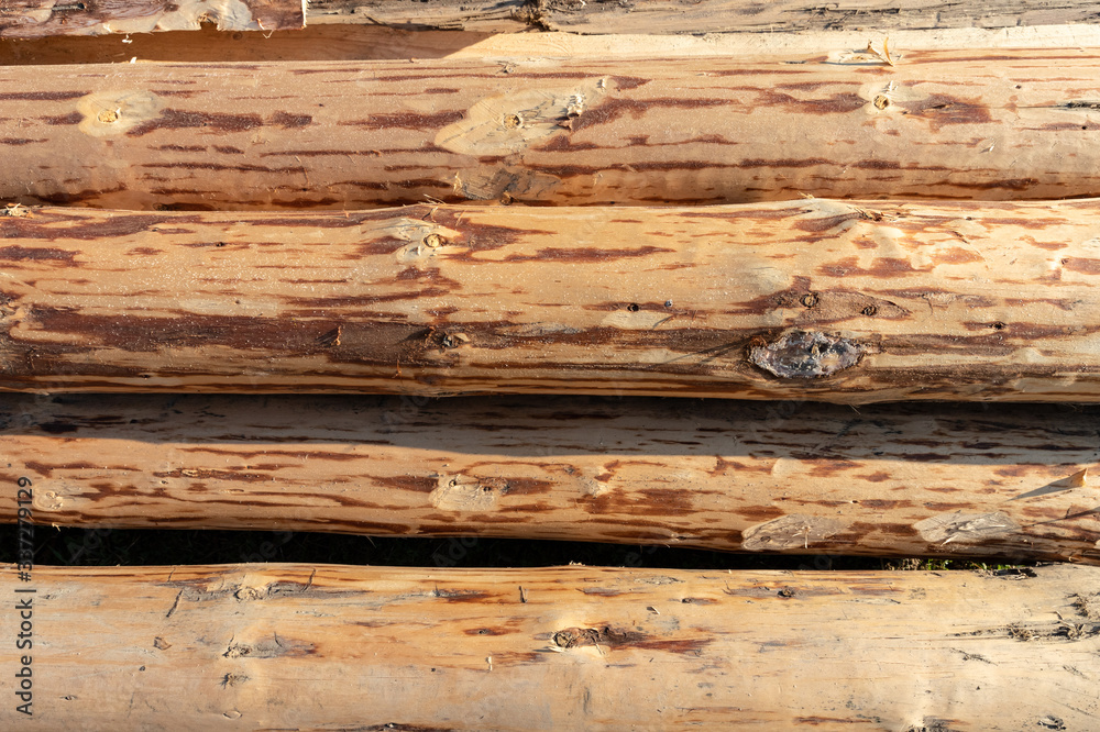 Naklejka premium wood texture background