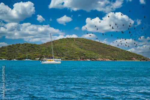 A catamaran anchored in the blue water off a green Caribbean island