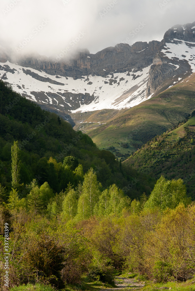 Primavera en el Pirineo aragonés.