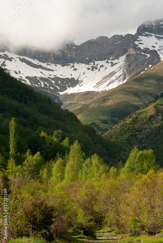 Primavera en el Pirineo aragon  s.