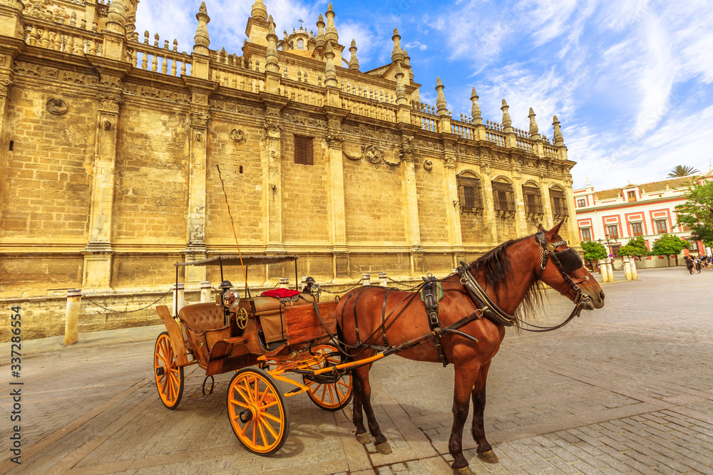Naklejka premium Spanish horse parked near Seville Cathedral, a Roman Catholic cathedral and largest Gothic church, is one of sightseeing tourist attractions of Seville in Andalusia, Spain: horse carriage rides.