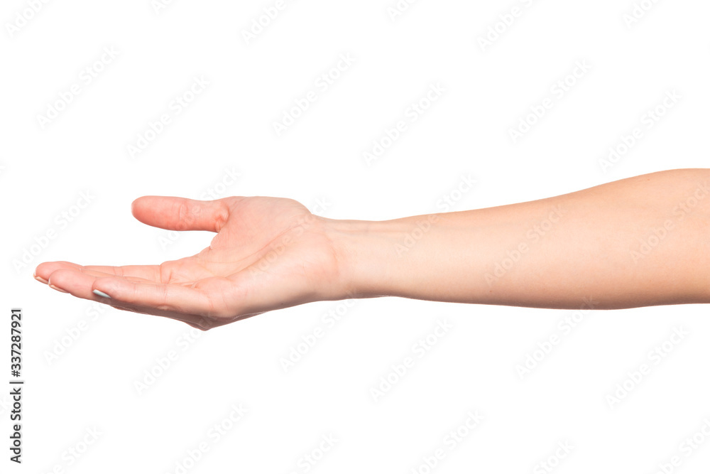female hand isolated on white background showing hand gestures - Image female hand isolated on white background showing hand gestures - Image