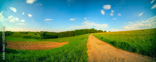 dirty road in summer green field