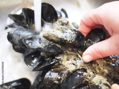 cozze da pulire
