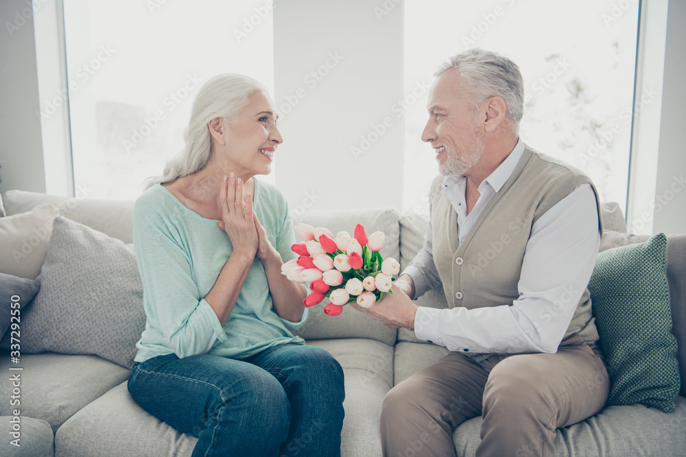 Profile photo of romance moment aged pair anniversary holiday giving big red tulips bunch sitting couch Profile photo of romance moment aged pair anniversary holiday giving big red tulips bunch sitting couch