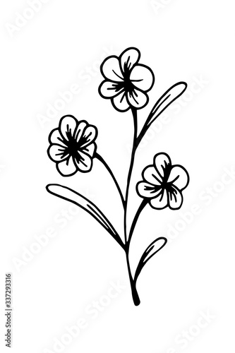 Hand drawn floral design element. Vector illustration in sketch style isolated on white