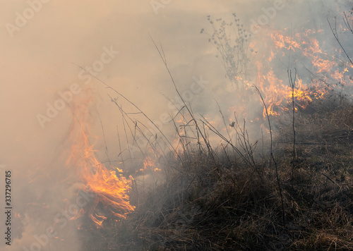 fire in the steppe, the grass is burning destroying everything in its path © Игорь Кляхин