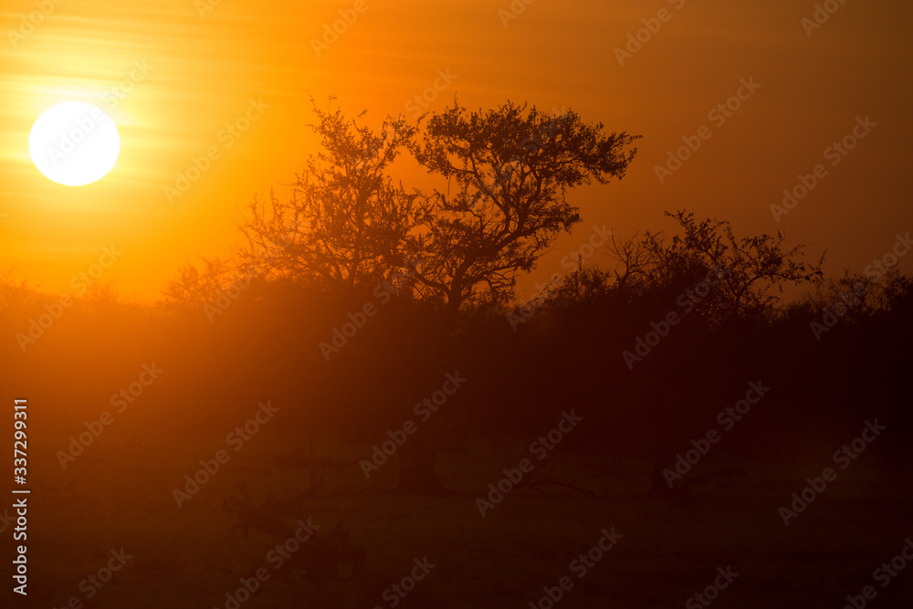 Naklejka premium tramonto africano