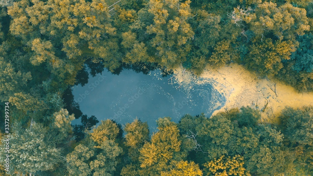 top view of a mysterious scary lake, a strange place with unusual energyin the green northern Pine forests, lungs of the planet, on the bay - Aerial Flight top view of a mysterious scary lake, a strange place with unusual energyin the green northern Pine forests, lungs of the planet, on the bay - Aerial Flight