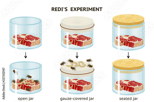 Francesco Redi's experiment: flies are necessary to produse flies: they do not arise spontaneously from rotting meat. Spontaneous generation.