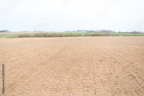 The agricultural field is cultivated and sown with grain crops.