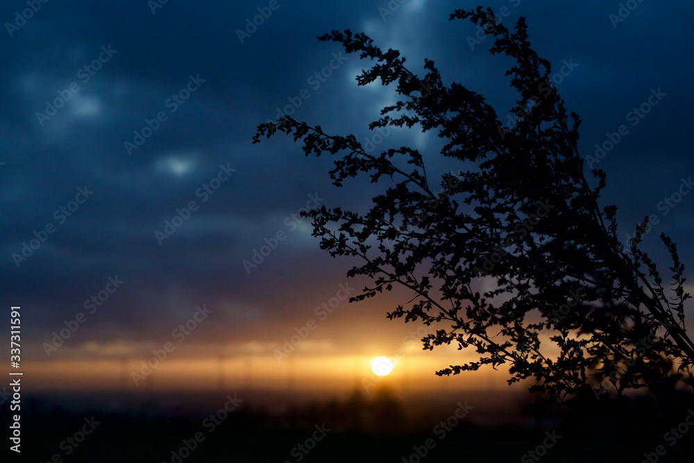 Fototapeta premium Horizon / Horizont