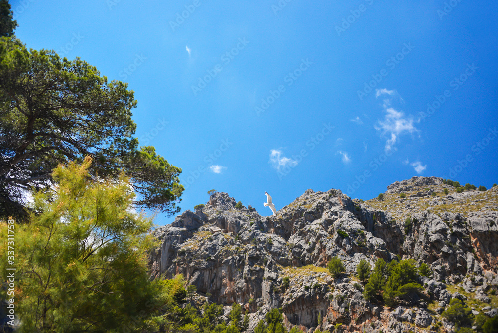 Landscape of Palma de Mallorca island in Spain
