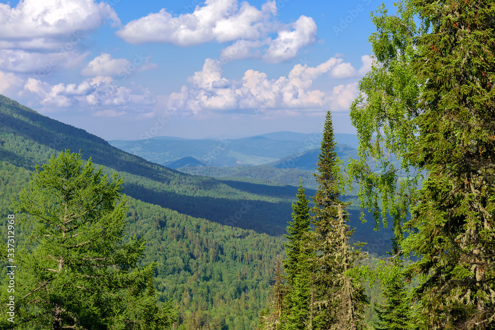 Beautiful view of mountains covered with green coniferous forest against a blue sky with white clouds on sunny summer day. Desolate corners of our planet. Ecological areas of the earth.