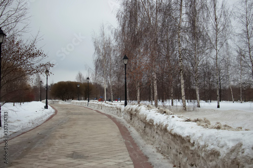 Forest on white snow in the early morning