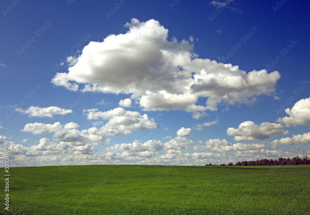 green field and blue sky with clouds green field and blue sky with clouds