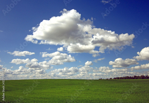 green field and blue sky with clouds © Александр Пузиков
