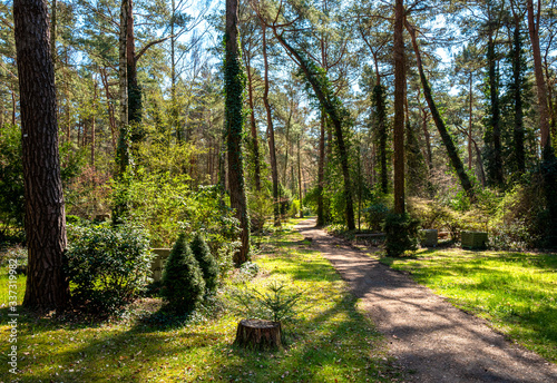 Bilde på lerret Landschaft im Umland von Berlin