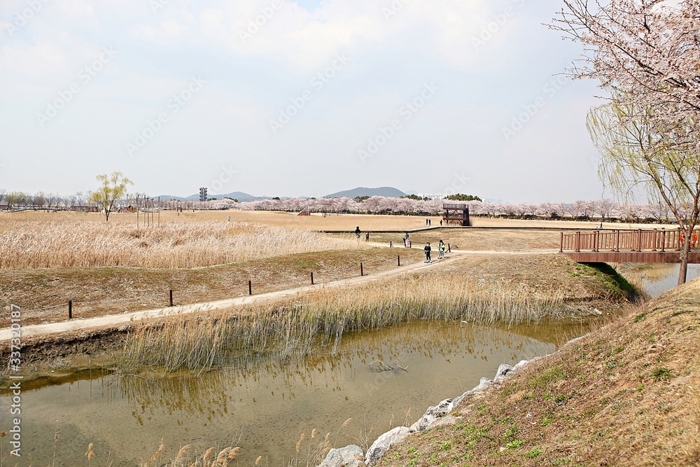 한국 경기도 시흥시 시흥갯골생태공원 입니다