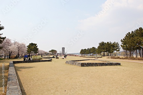 Wallpaper Mural 한국 경기도 시흥시 시흥갯골생태공원 입니다 Torontodigital.ca