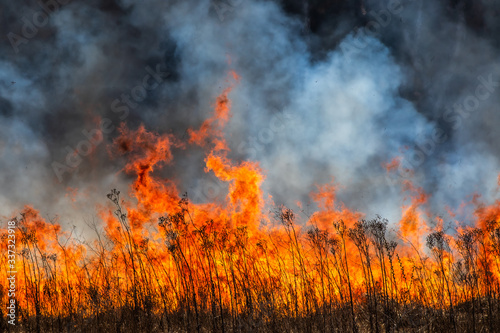 Burning dry field on the side, horizon in danger, spring warming © FellowNeko