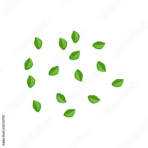 Mint leaves vector pattern isolated.