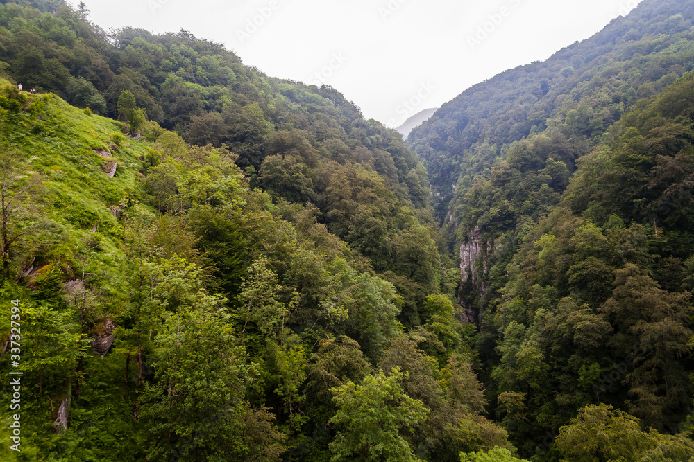 Fototapeta premium Larrau,Gorges Holzarte