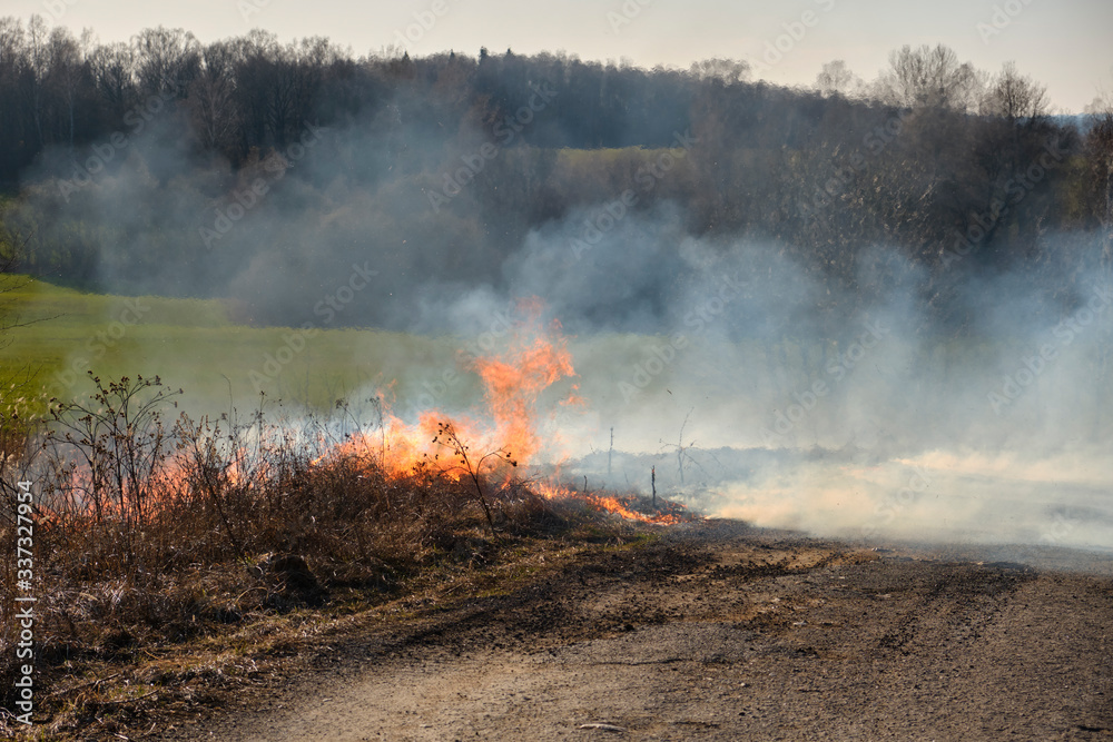 Fire. Burning last year's dry grass could turn into a tragedy.