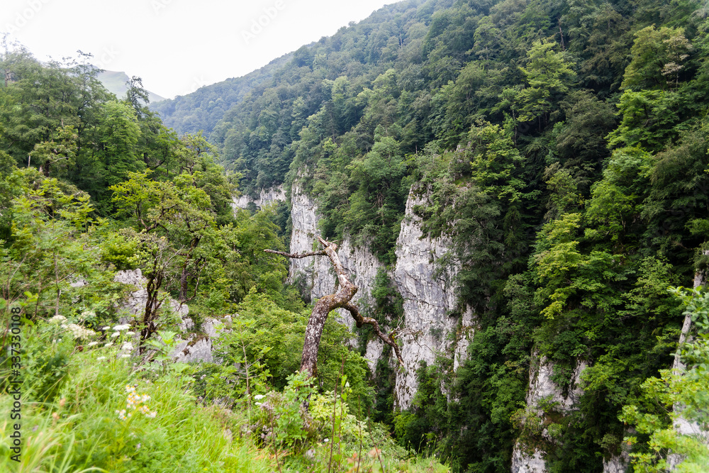 Obraz premium Larrau,Gorges Holzarte
