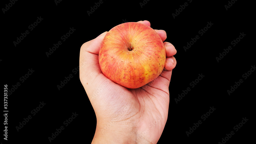 Hands holding red apples isolated on black background Hands holding red apples isolated on black background
