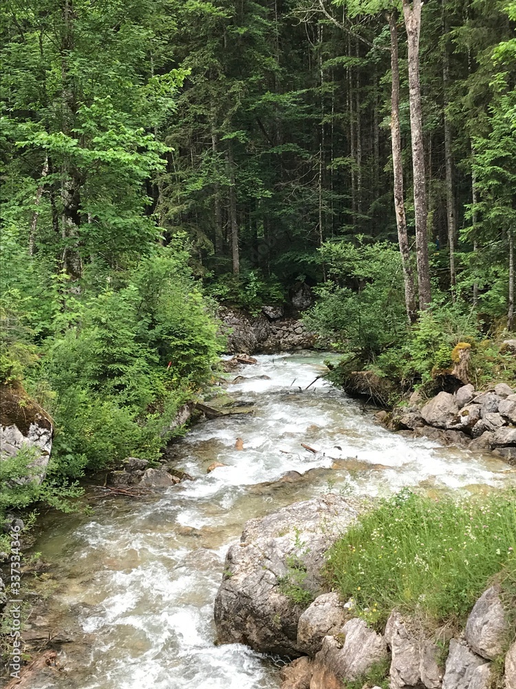 Wildbach Wildbach