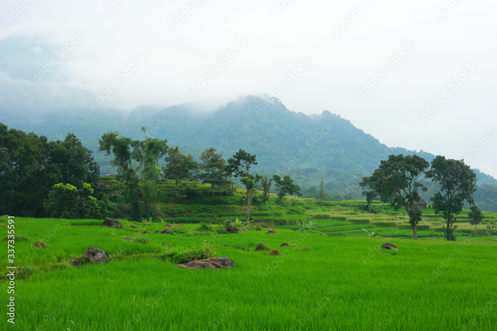 Green scenic landscape against cloudy sky