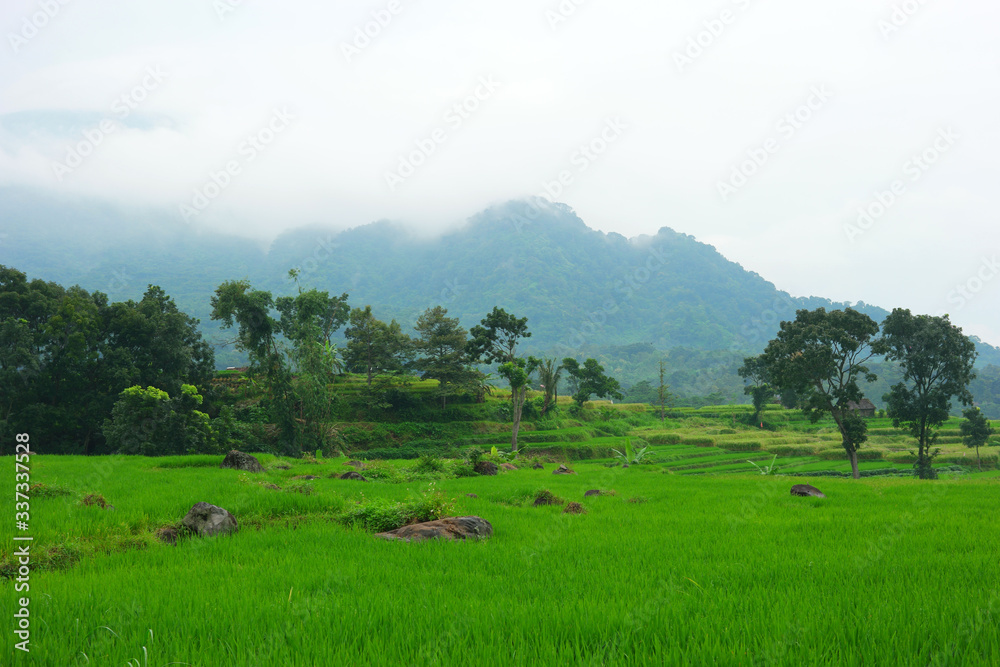 Green scenic landscape against cloudy sky 