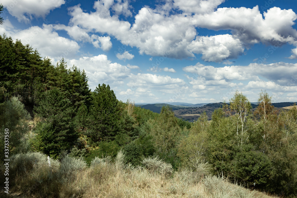 Clouds over forest in the mountains