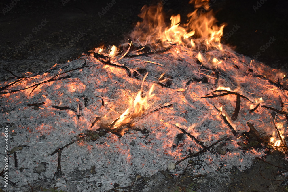 Bonfire. Burning tree branches. Environmental pollution. Bonfire. Burning tree branches. Environmental pollution.
